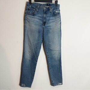 Adriano Goldschmied the phoebe distressed straight leg jeans size 29
